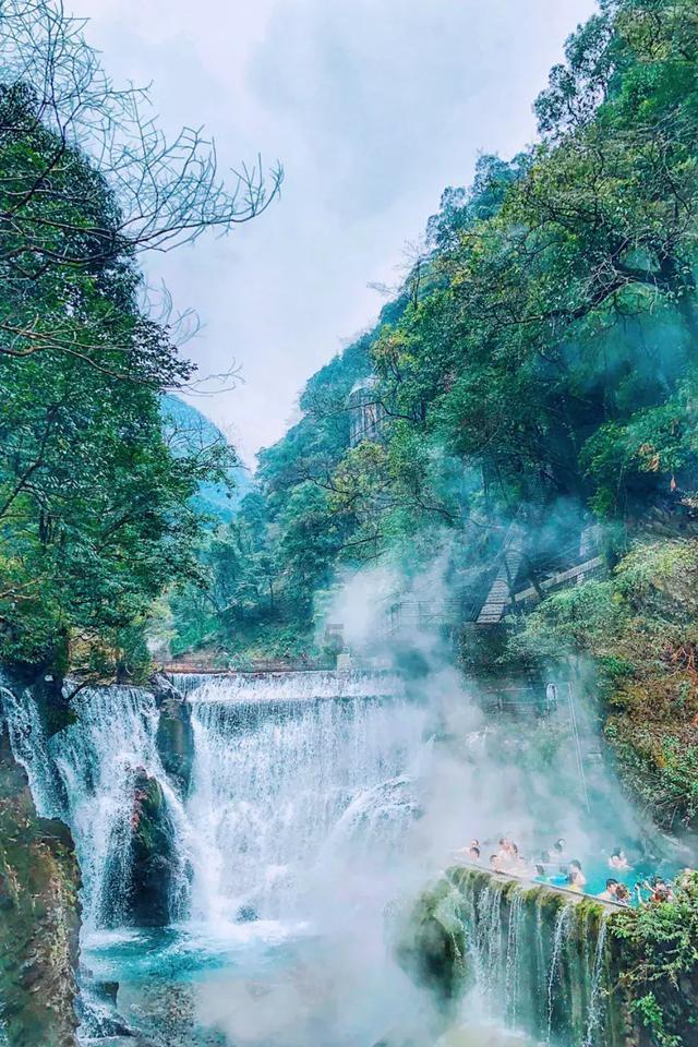 淘气兔救援